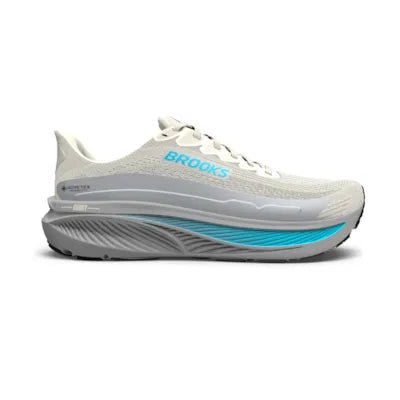 Women's Brooks Ghost 17 GTX