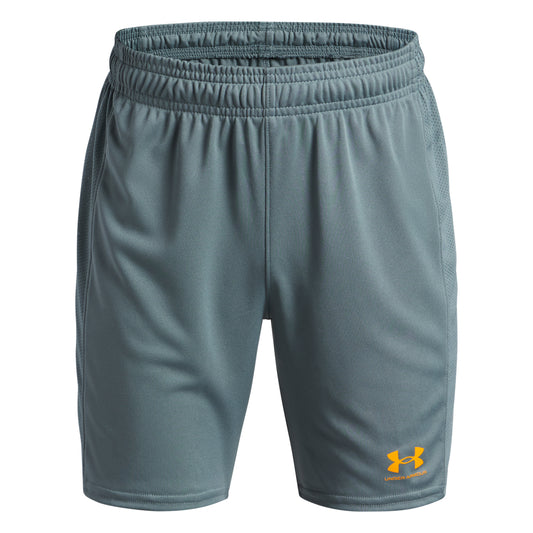 Boy's Under Armour Challenger Knit Shorts